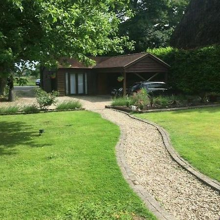Winterborne Lodge Blandford Forum Buitenkant foto