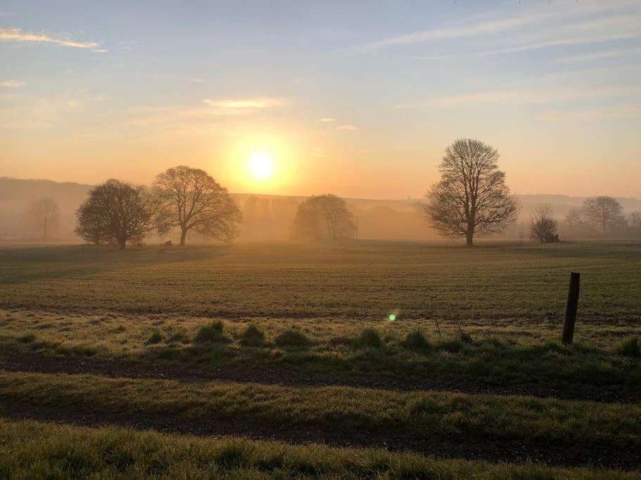 Winterborne Lodge Blandford Forum Buitenkant foto