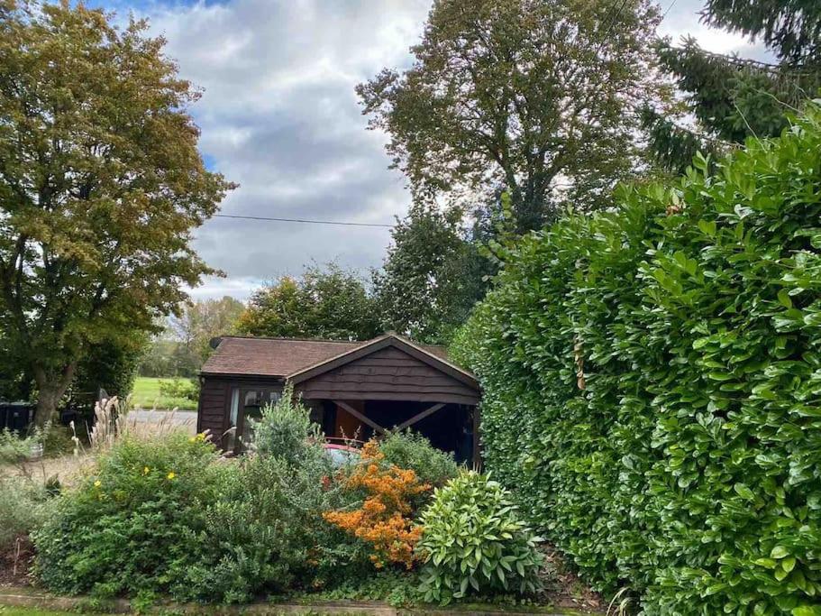 Winterborne Lodge Blandford Forum Buitenkant foto